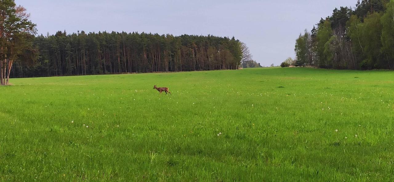 Chata Marecek - V Lesni Osade U Reky Luznice Skalice Exterior foto