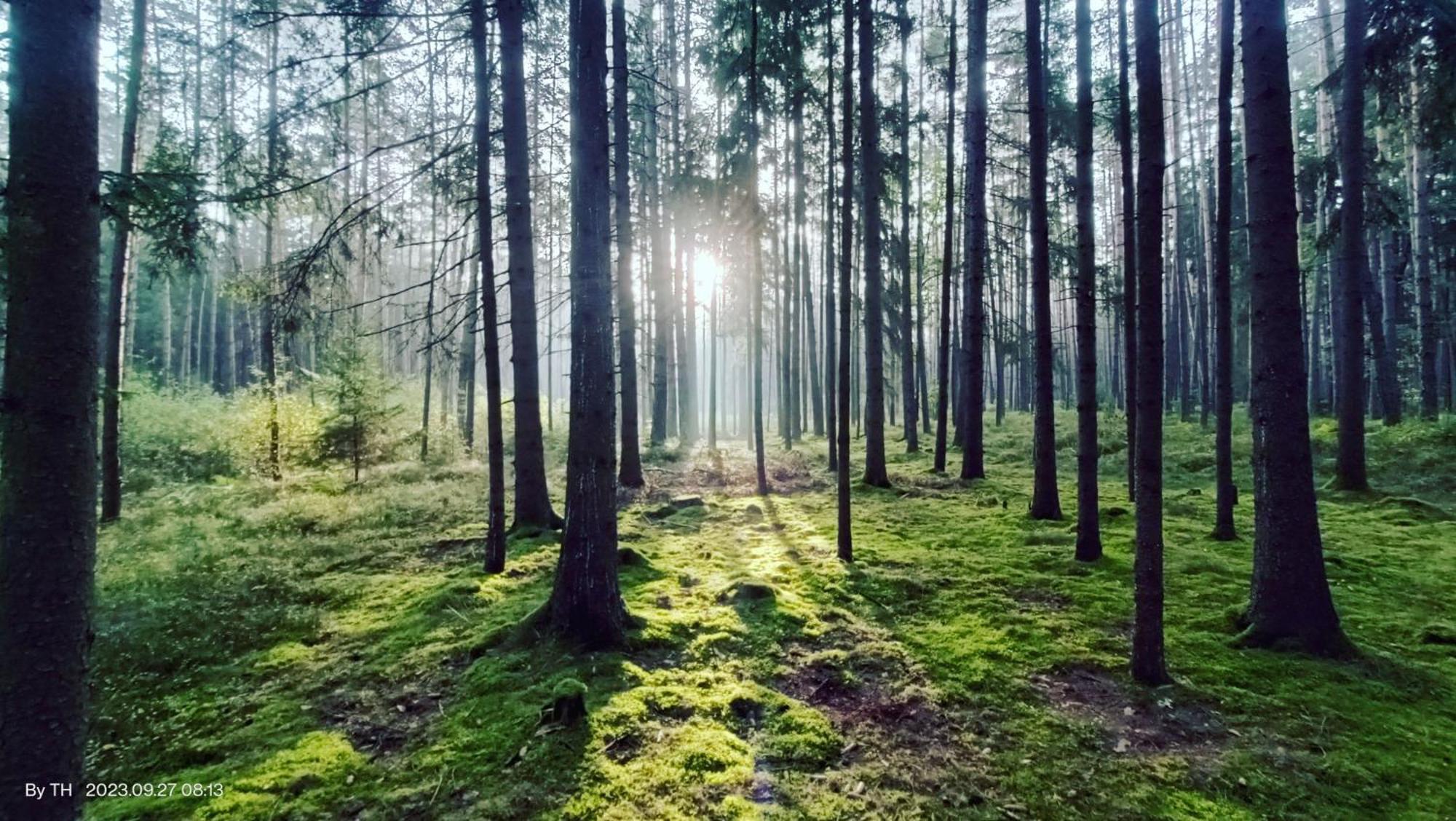 Chata Marecek - V Lesni Osade U Reky Luznice Skalice Exterior foto